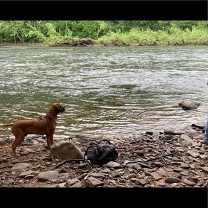 Meet your Posher, Kylie